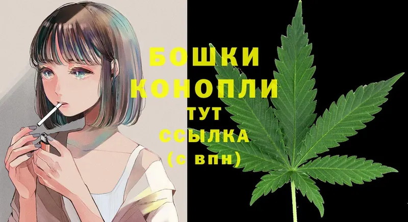 Шишки марихуана SATIVA & INDICA  закладка  Камешково 